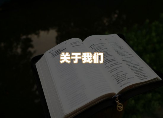 关于榴星下载站